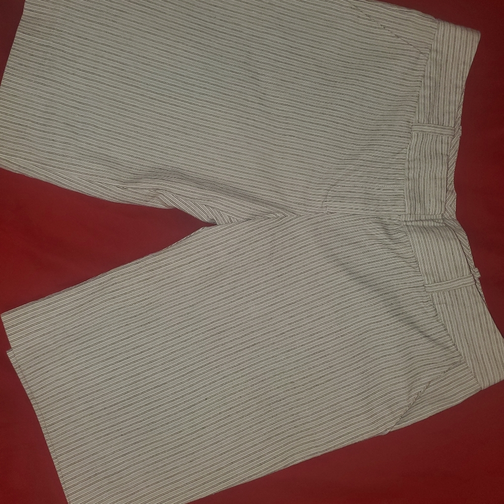 Charlotte Russe Dress Shorts